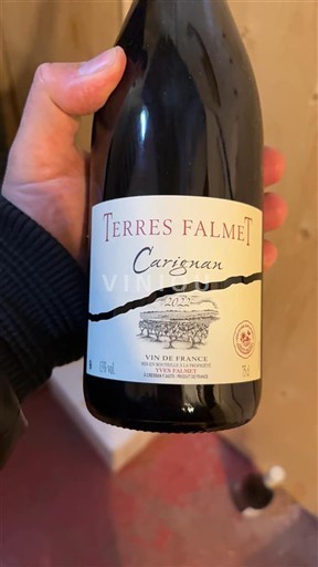 Languedoc Không được chỉ định Terres Falmet Carignan 2022