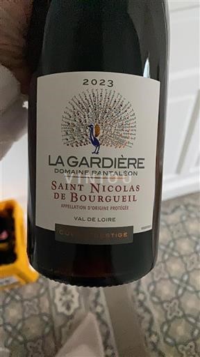 Valle della Loira Saint-Nicolas-De-Bourgueil Domaine Pantaleon Prestige 2023