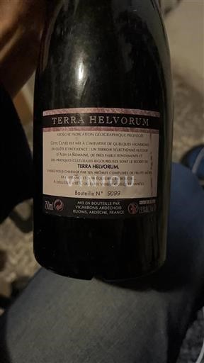 Alpit ja Rhônen maat Ardèche Vignerons Ardéchois Terra Helvorum 2011