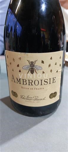 Burgundi Määrittelemätön Maison Thomas Bassot Ambroisie Ei vuosikertaa