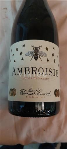 Burgundy Unspecified Maison Thomas Bassot Ambroisie Non-Vintage