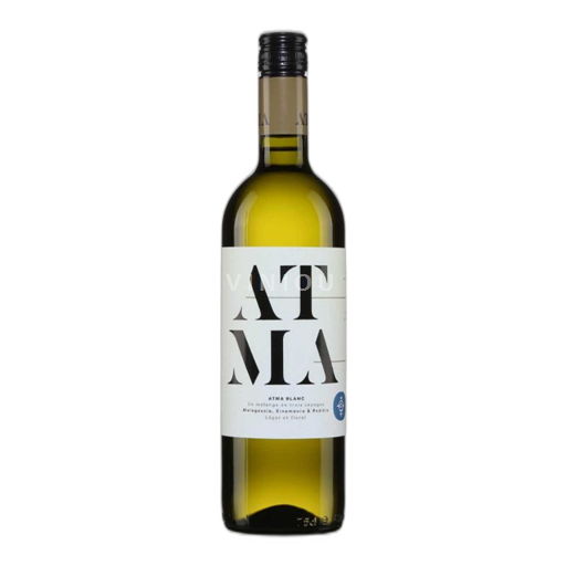 Macedonia Không được chỉ định ATMA BLANC 2023