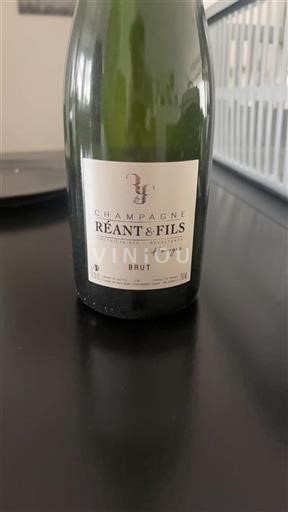 Champagne Réant & Fils Brut Icke årgångsbetecknad