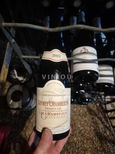 Bourgogne Gevrey-chambertin Premier Cru Gonzalez Les Champeaux 2022