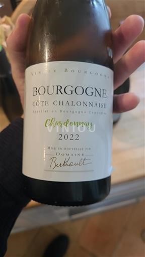 Borgonha Borgonha-Costa-Chalonnais Domaine Berthault Chardonnay 2022