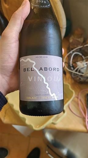 Loiredalen Muscadet-Sèvre-et-Maine Famille Lieubeau Bel Abord 2023