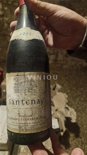 Burgundija Santenay Domaine Capuano-Ferreri 2002