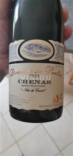 Beaujolais Chénas Domaine Penlois Fête de 2020