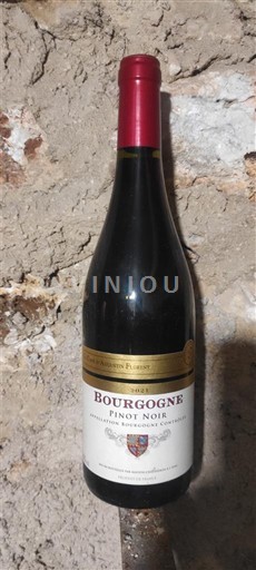 Burgundy Domaine Forey Non-Vintage