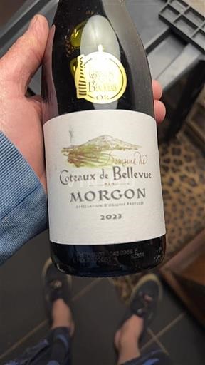 Beaujolais Morgon Domaine Coteaux de Bellevue 2023