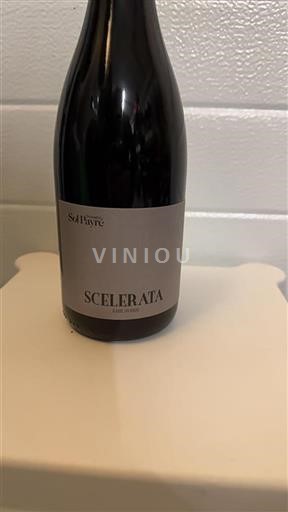 Linguadoca Non specificato Domaine Sol Payré Scelerata 2021