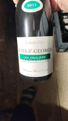 Burgundy Nuits-Saint-Georges Premier Cru Domaine Henri Gouges Les Pruliers 2011