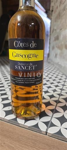 Sudoeste Côtes de Gascogne Domaine Sancet 2010