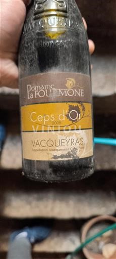 Rhône Valley Vacqueyras Domaine La Fourmone Ceps d'Or 2005