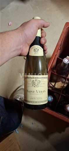Burgundsko Saint-Véran Louis Jadot 2017