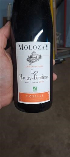 Lorraine Moselle Château Vaux Les Hautes-Bassières 2022