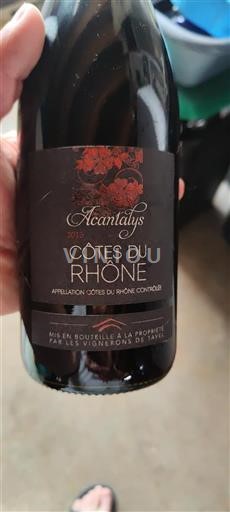 Rhônen laakso Côtes-du-rhône Les Vignerons de Tavel Acanthys 2015