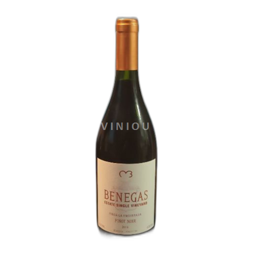 Vin Rouge sec Finca La Encerrada Benegas 2016 Argentine Mendoza