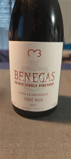 Mendoza Non specificato Benegas Finca La Encerrada 2016