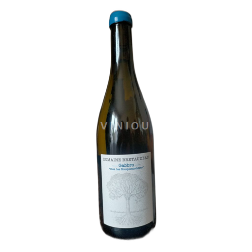 Loiretal Muscadet Domaine Bretaudeau Gabbro 'Clos des Bouquinardières' 2023