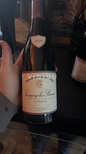 Borgogna Savigny-lès-Beaune Domaine Georges Roy & Fils Les Picotins 2020