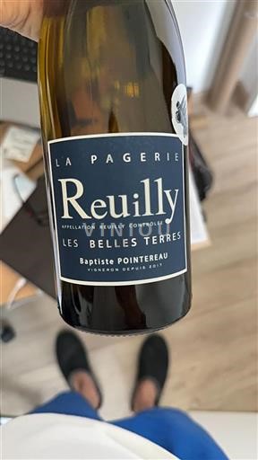 Loire Valley Reuilly La Pagerie Les Belles Terres Non-Vintage
