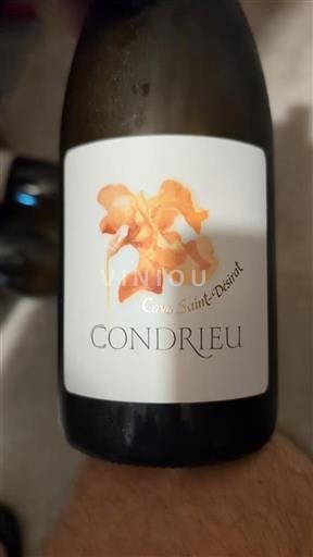 Rona dolina Condrieu Cave Saint-Désirat 2022