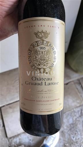 Bordeaux Saint-Julien Gruaud Larose 1995