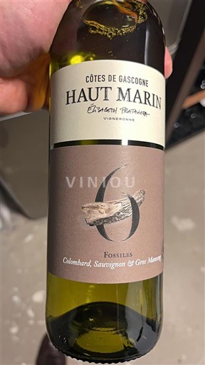 Sydvestfrankrig Côtes de Gascogne Haut Marin Fossiles Ikke årgangsbestemt