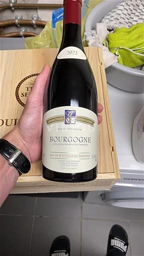 Borgogna Domaine Coquard Loison-Fleurot 2022