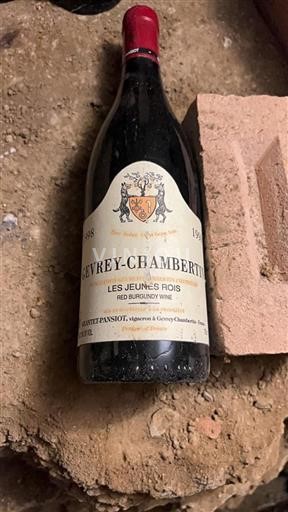 Borgoña Gevrey-Chambertin Geantet-Pansiot Les Jeunes Rois 1998