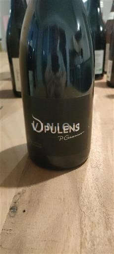 Rhônedalen Ospecificerad Domaine Servans Opulens 2022