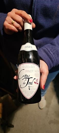Lorraine Côtes de Toul Vignoble des Ducs 2023
