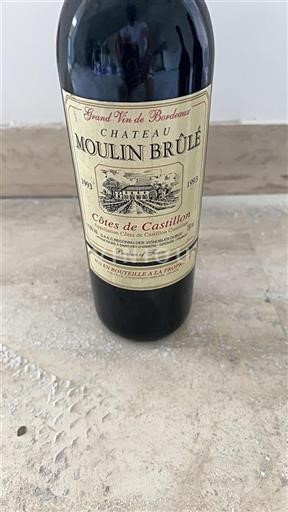 Bordeaux Không được chỉ định Château Moulin Brûlé 1993
