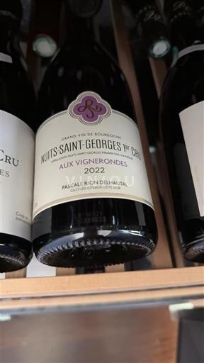 Bourgogne Nuits-Saint-Georges Premier Cru Pascale Rion Delhuat Aux Vignerondes 2022