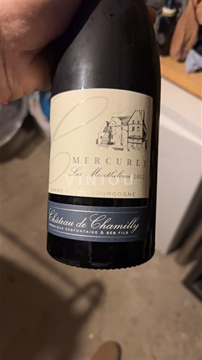 Bourgogne Mercurey Château Chamilly Les Monthelons 2022