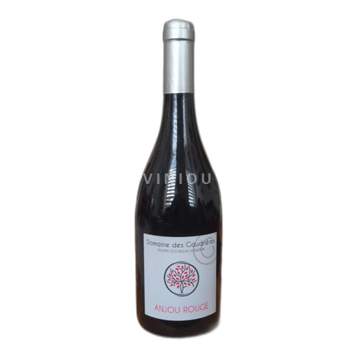 Valle della Loira Anjou Domaine Gaudrières Anjou rouge 2023
