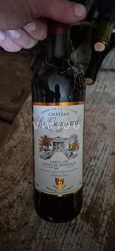 Bordeaux Castillon-côtes-de-bordeaux Château La Gasparde 2013