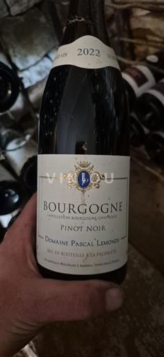 Bourgogne Domaine Pascal Lémonde 2022