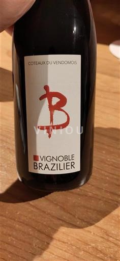 Thung lũng sông Loire Coteaux-du-vendômois Vignoble Brazilier Không niên vụ