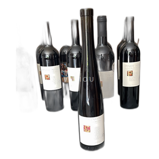 Vin Rouge sec Diolinoir élevé en fût de chêne Gregor Kuonen Caveau de Salquenen 2015 Suisse Valais AOC