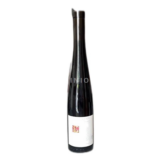 Vin Rouge sec Diolinoir élevé en fût de chêne Gregor Kuonen, Caveau de Salquenen 2015 Suisse Valais AOC
