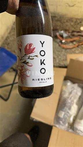 Palatinat Pfalška Yoko 2021