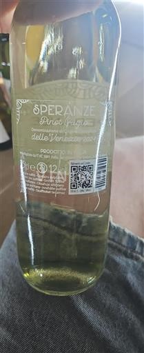 Veneto Delle Venezie Speranze 2024