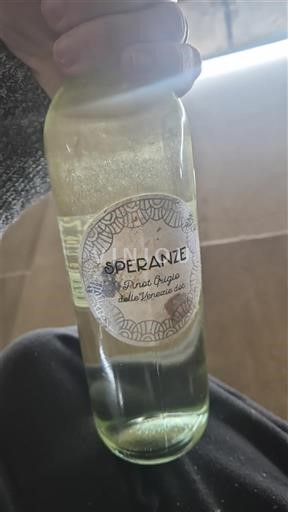 Wines of Veneto Delle Venezie Speranze 2024