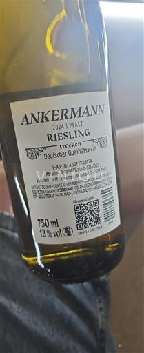 Palatinat Pfalška Ankermann 2024