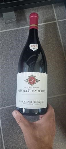 Borgogna Gevrey-Chambertin Remoissenet Père & Fils 2022