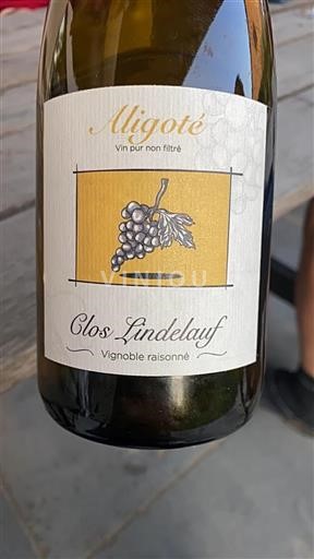 Borgoña Borgoña-Aligoté Clos Lindelauf 2022
