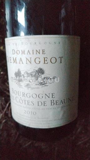 Bourgondië Niet gespecificeerd Domaine Demangeot 2010