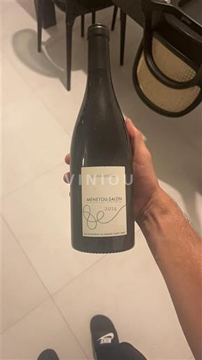 Valle del Loira Menetou-Salon Domaine Philippe Gilbert Les Renardières 2014
